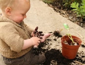 que no prohibir a nuestros hijos, cuando son pequeos